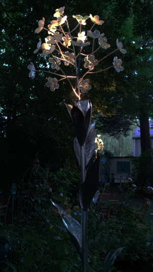 Artists/Images/ResizedExtra/bjane cowie_image_elderflower_night.jpg